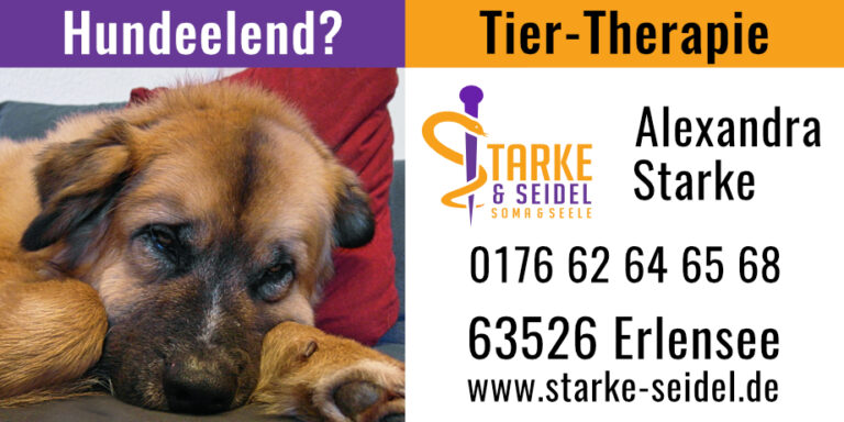 Starke & Seidel 1 Werbung Stadtjournal 39 x 78 mm Hundeelend