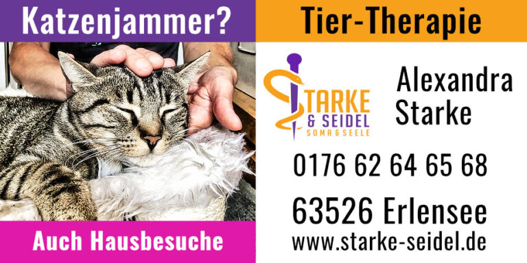 Starke & Seidel 1 Werbung Stadtjournal 39 x 78 mm Katzenjammer
